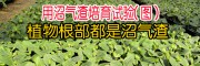 沼氣渣有機肥生產廠家技術(個舊市益農農業發展有限公司)