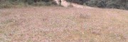 云南宜良有證林地轉讓-種養殖地，昆明土地不動產登記證服務