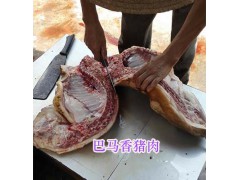 玉溪香豬養殖基地#云南巴馬香豬產地圖3