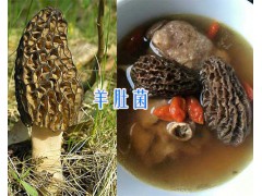 云南特產羊肚菌-羊肚菌#香格里拉羊肚菌圖2