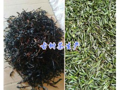 紅河古樹茶（圖片）批發(fā)市場(chǎng)報(bào)價(jià)圖3