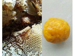 昆明哪有土蜂蜜供應？陽宗海蜜蜂養殖-圖2