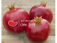 哪種石榴好？—云南滇澤王突尼斯軟籽石榴圖2