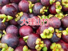圣德龍芒果銷售：大理圣德龍芒果批發_熱帶水果供應圖3