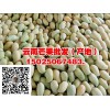 四川芒果批發(fā)供應(yīng)-云南鷹嘴芒果-金煌芒果、保山臺農(nóng)1號