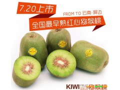 獼猴桃高產種植技術資料大全_附獼猴桃價格大全圖2