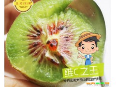 獼猴桃高產種植技術資料大全_附獼猴桃價格大全圖3
