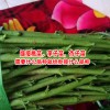 承接各種苗木嫁接業(yè)務_
