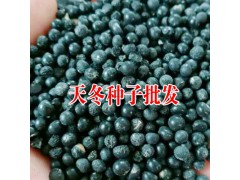 哪個(gè)天冬品種產(chǎn)量更高/個(gè)大飽滿均勻 /賣價(jià)更高？圖2