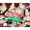 白芨價格-白芨批發價格
