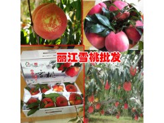 500克的麗江雪桃能賣多少錢?圖1