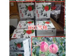 麗江雪桃特點_麗江玉龍縣雪桃專業戶(合作社)圖2