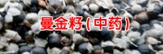 蔓荊子價格多少錢_蔓荊子價格多少錢一斤-2018蔓荊子價格網(wǎng)