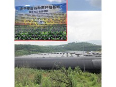 1畝產鮮白芨能產多少?-市場上鮮白芨價格在多少?圖3