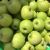 衢州市哪里有昭通蘋果|昭通果業(yè)基地|13887043679
