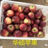 咸寧市哪里有昭通蘋果|昭通果業基地|13887043679