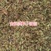 金鐵鎖*金鐵鎖種植技術(shù)*金鐵鎖價格%