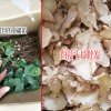 白芨種植戶_白芨的種植利潤(rùn)有多少?