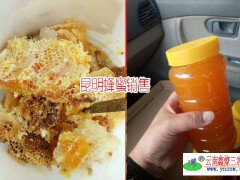 真蜂蜜超過40度高溫容易發酵_昆明天然蜂蜜供應商圖3