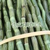 浙江鐵皮石斛花_云南鐵皮石斛花價格多少錢一斤？