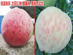 風花雪月大理桃花開了_圖2
