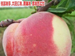 風花雪月大理桃花開了_圖3