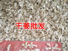 今日云南羅平干姜塊價_云南羅平干姜塊_云南羅平干姜塊價格圖1