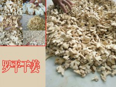云南羅平地區/云南羅平生姜價格圖3