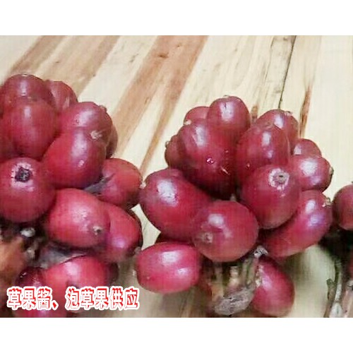草果醬、泡草果圖片