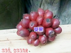 云南草果醬,泡草果供應公司是多少？圖2