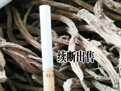 續斷種植如何提高出苗率圖2