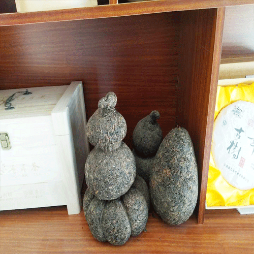 紅河縣、金平縣、綠春縣、元陽(yáng)縣哪里有古樹茶