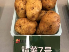 七彩云南，七彩土豆，云南廣匯種植有限公司圖3