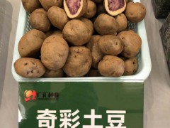 馬鈴薯、花卉、蔬菜、水果種植銷售圖2
