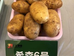 吃洋芋，長子弟”，洋芋圖2