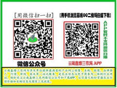 土蜂蜜廠家[087164155848]圖1