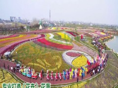 哪些品種花卉價格高_免費設計圖2