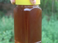 云南樹(shù)酸蜂蜜_純樹(shù)酸蜂蜜_景洪樹(shù)酸蜂蜜_蜂蜜_酸蜜圖3