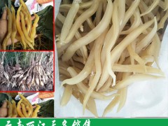 天門冬合理上肥(附技術資料)圖3