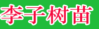 李子樹苗新批發價格表