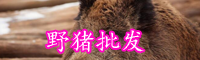 云南豬肉的價(jià)格-需要辦哪些手續(xù)