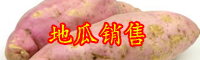 地瓜和紅薯的區別-地瓜的功效與作用
