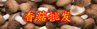 香菇栽培技術(shù)要點(diǎn)有哪些？成本和效益高嗎？