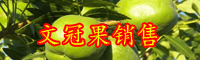 “全身是寶”文冠果油市場(chǎng)價(jià)格多少錢一斤？種植前景如何？