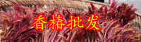 “天下第一山珍”香椿是什么？多少錢一斤？