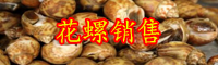 花螺價(jià)格多少錢(qián)一斤？