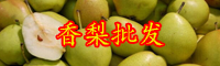 玉露香梨價格一般多少錢一斤？種植前景如何？
