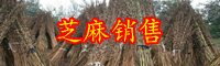 八谷之冠“芝麻開(kāi)花節(jié)節(jié)高”是什么意思？