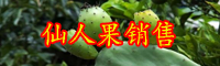 云南仙人果市場價格多少錢一斤？功效作用是什么？