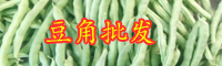 云南現在豆角價格大概是多少錢一斤？種植過程中出現銹病如何防治？